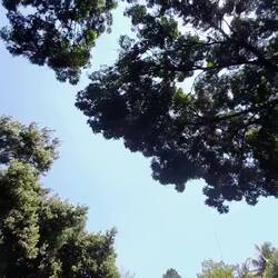 Die Mädels hatten viel Spass, wir natürlich auch😅