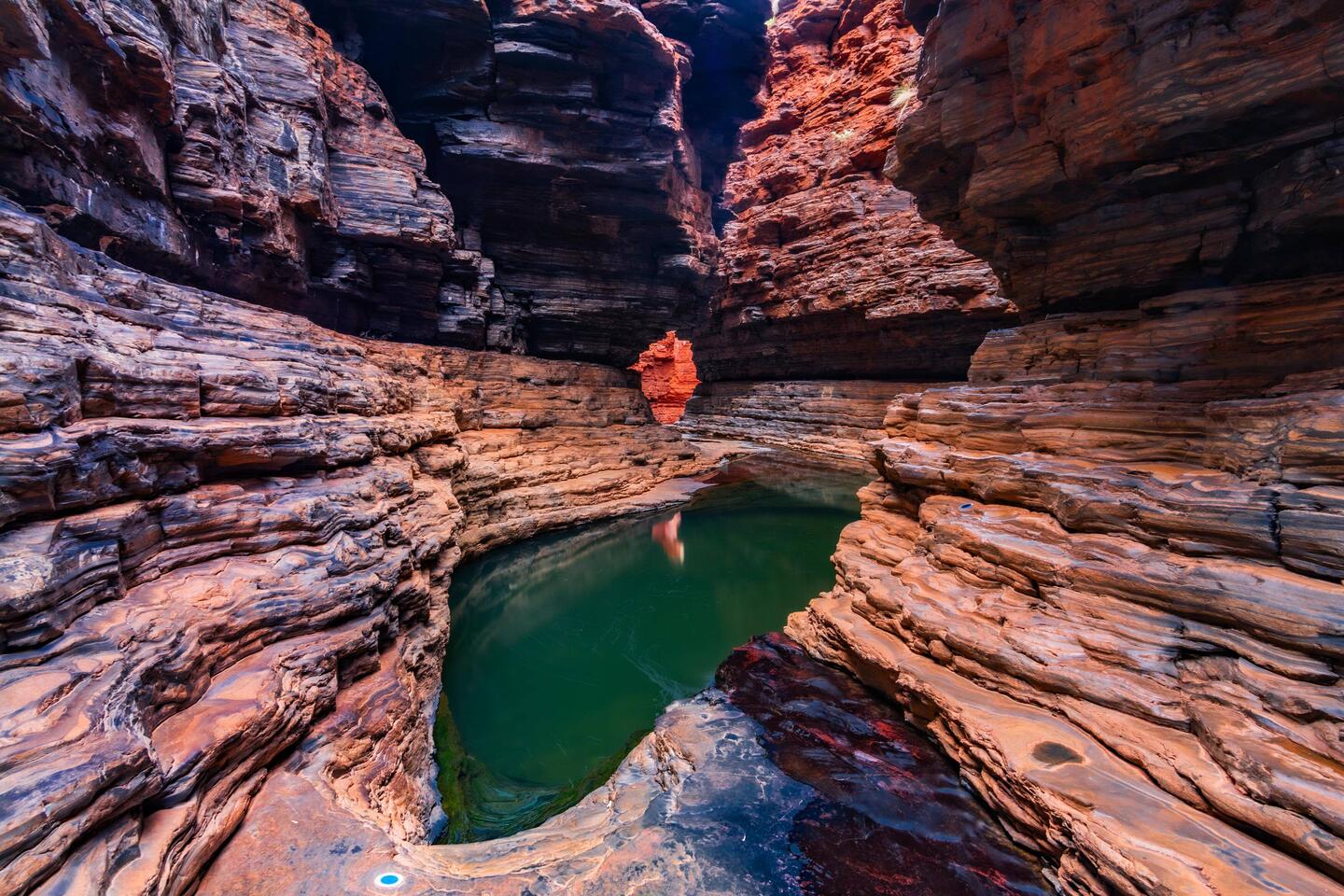 Kermit's Pool
