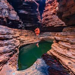 Kermit's Pool