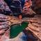 Kermit's Pool