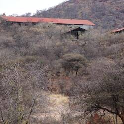 Bush Camp