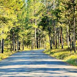 Drive up to Signal Mountain