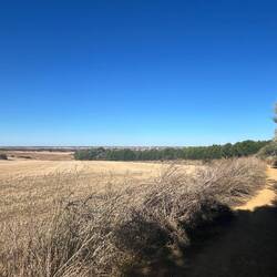 First sight of Sahagún in the distance