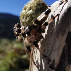 Und interessante Mittagsgäste