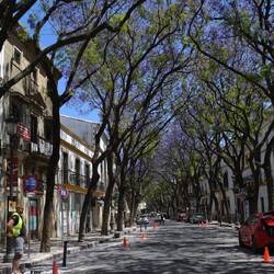 Erinnert mich an die Altstadt von Mexico City