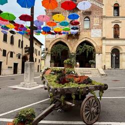 Soave