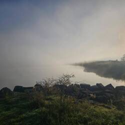 ...fog