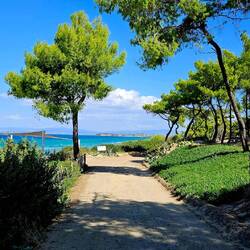 Sani Beach