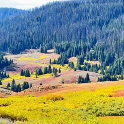 Valley in Togwotee Forest
