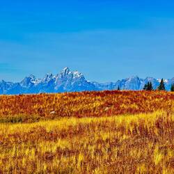 Grand Tetons from Togwotee Forest