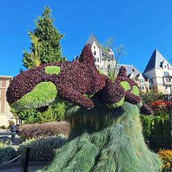 So kann man ein Gebüsch auch gestalten
