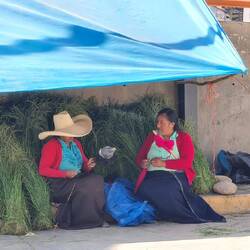 Spinnen mit der Spindel