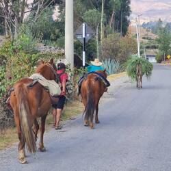 Straßenbilder im Inland