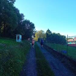 Random Süßigkeitenautomat im Nirgendwo