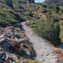 Aufstieg zum Glacier Viewpoint