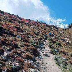 Aufstieg zum Glacier Viewpoint