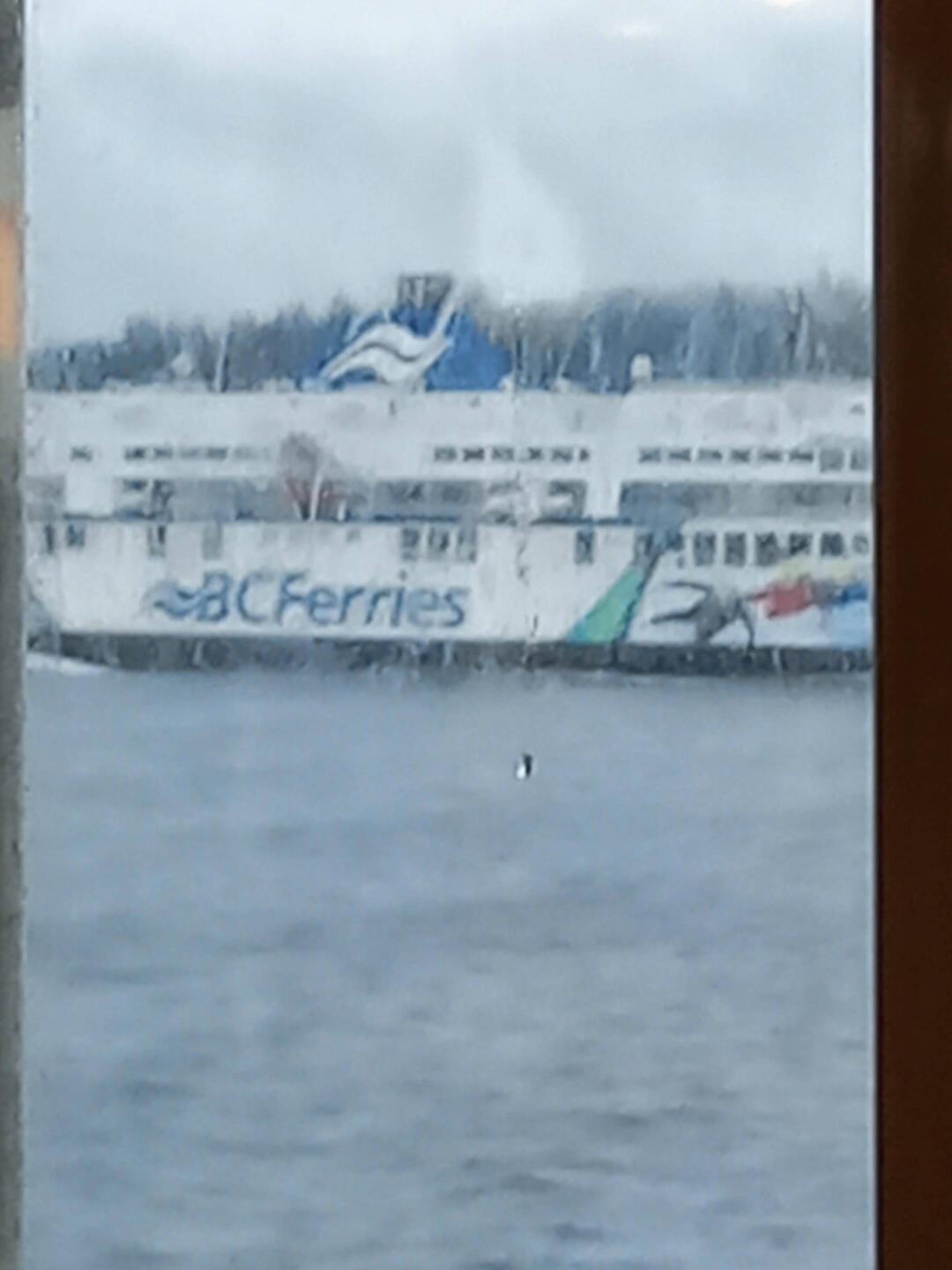 Beim Einschiffen nach Vancouver Island regnet es noch