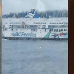 Beim Einschiffen nach Vancouver Island regnet es noch