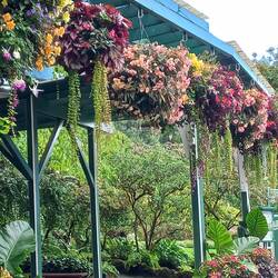 Im Blütenpark lacht die Sonne