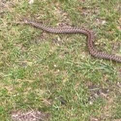 Bloß schnell weg hier!