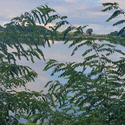 Blick von unserem Stellplatz auf die Loire