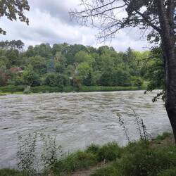 Hier trifft die Iller auf die Donau