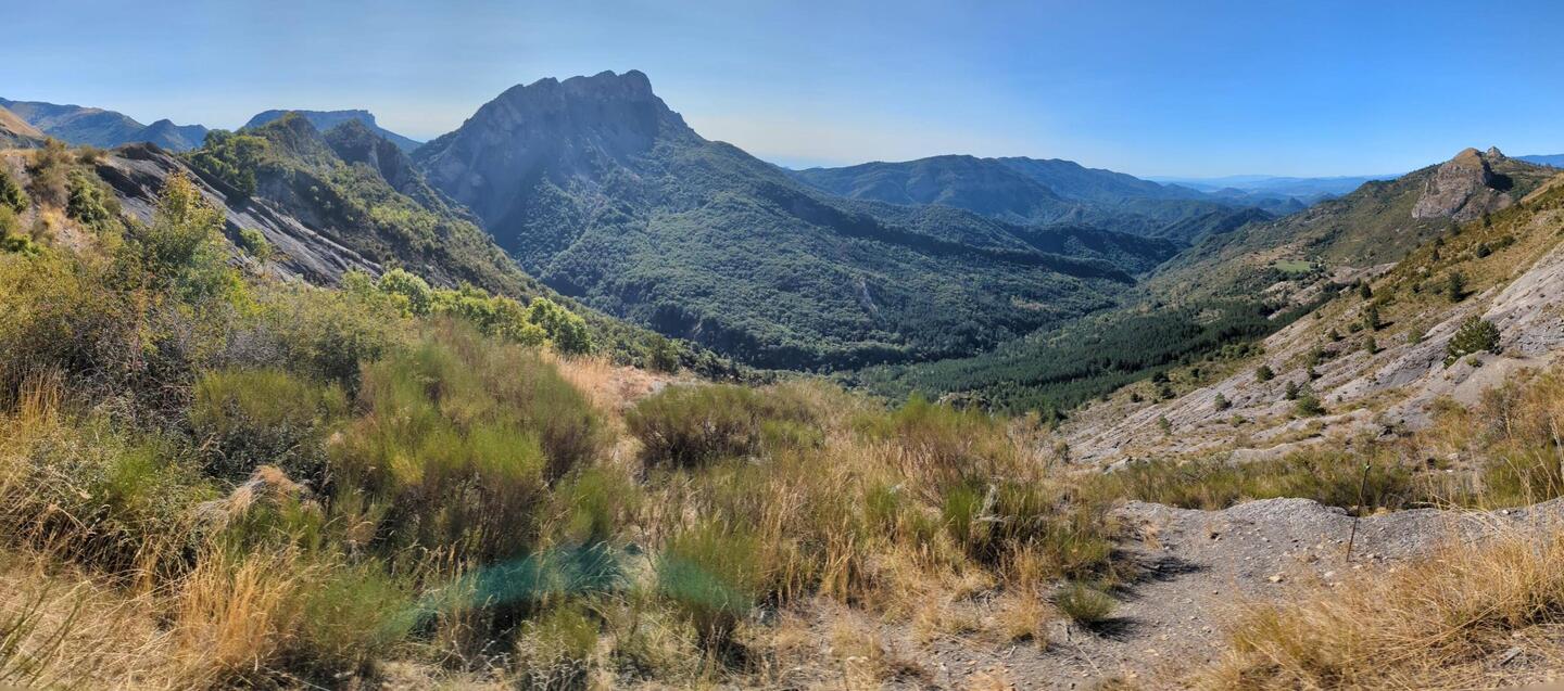 That loose black patch is natural, not industrial waste