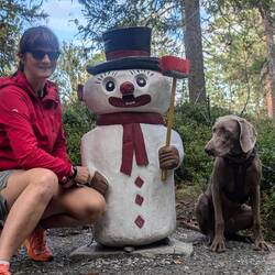 viele der Figuren haben einen Merkwürdigen Bart