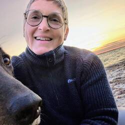 Versuch eines Selfies mit Gustav und Sonnenuntergang - tja, drei sind zu viel 😂