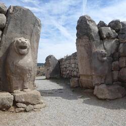 Lion gate