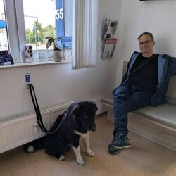 Tierarzt ist doof