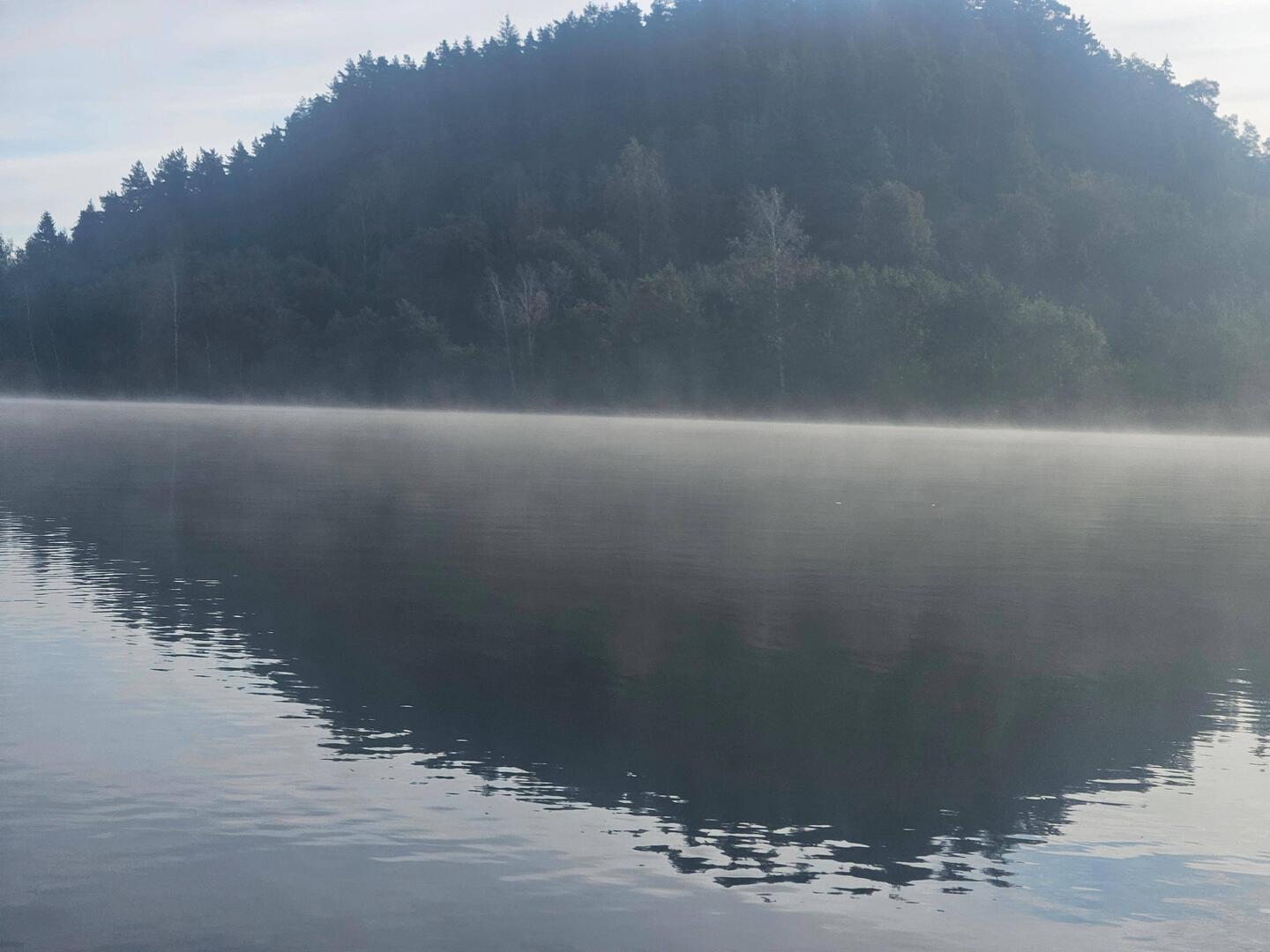 Morning dust