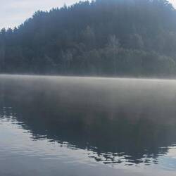 Morning dust