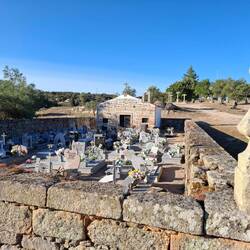 Zum Schluß ein Blick über den Friedhof