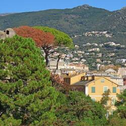Die "Jardins Romieu" waren leider versperrt, weil die großen Pinien eingehen!