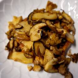 Und lecker Steinpilze zum Essen.