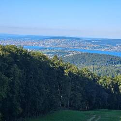 Blick auf Zürich