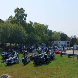 Bikes everywhere