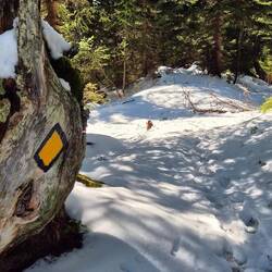 Will kai Schneeschuhwanderig mache