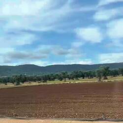 Landscape surrounding Cisternino and Alberobello