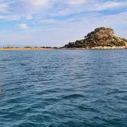 Etoliko, plage déserte avec la visite de cochons sauvages