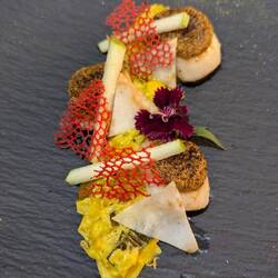 Sea scallops with a pureed vegetable side