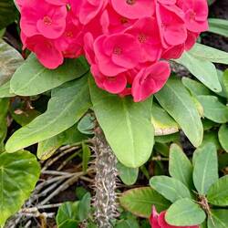 Gibt's auch bei uns. 😉