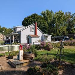 Little kitchen garden