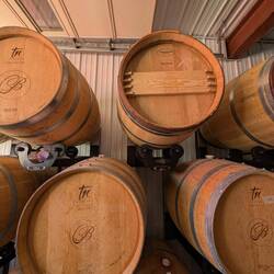 Barrels full of wine