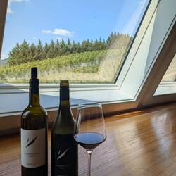 Adagio (red) and Symphony (white)