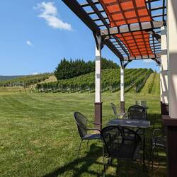 Enjoying the sunshine and being molested by bugs