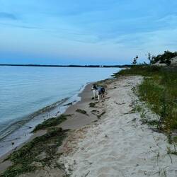 Moki having fun on the beach