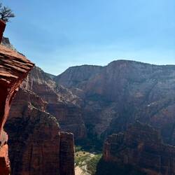 Top of the West Rim Trail where I saw a Condor fly right by at eye level. Killer Hike!