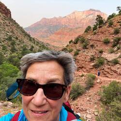 The Watchman Trail.